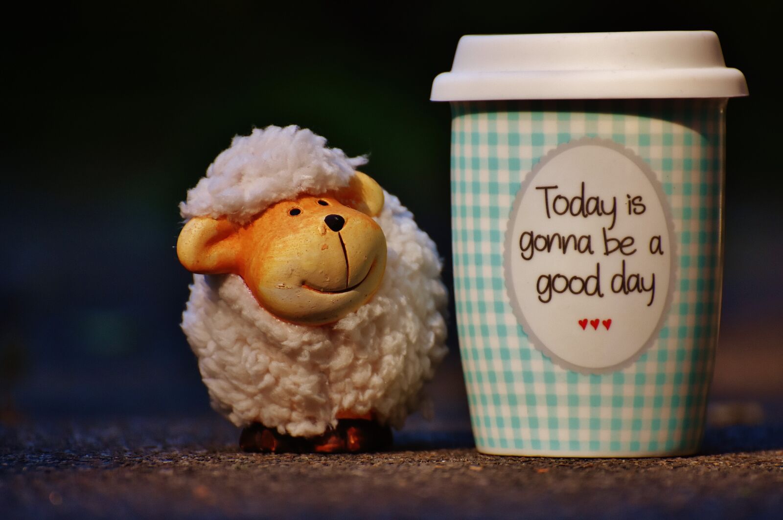 Nikon D7200 sample photo. Sheep, beautiful day, to photography
