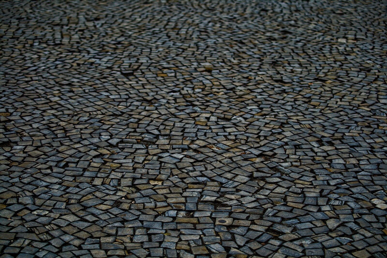 Canon EOS 400D (EOS Digital Rebel XTi / EOS Kiss Digital X) sample photo. Textur, background, texture photography