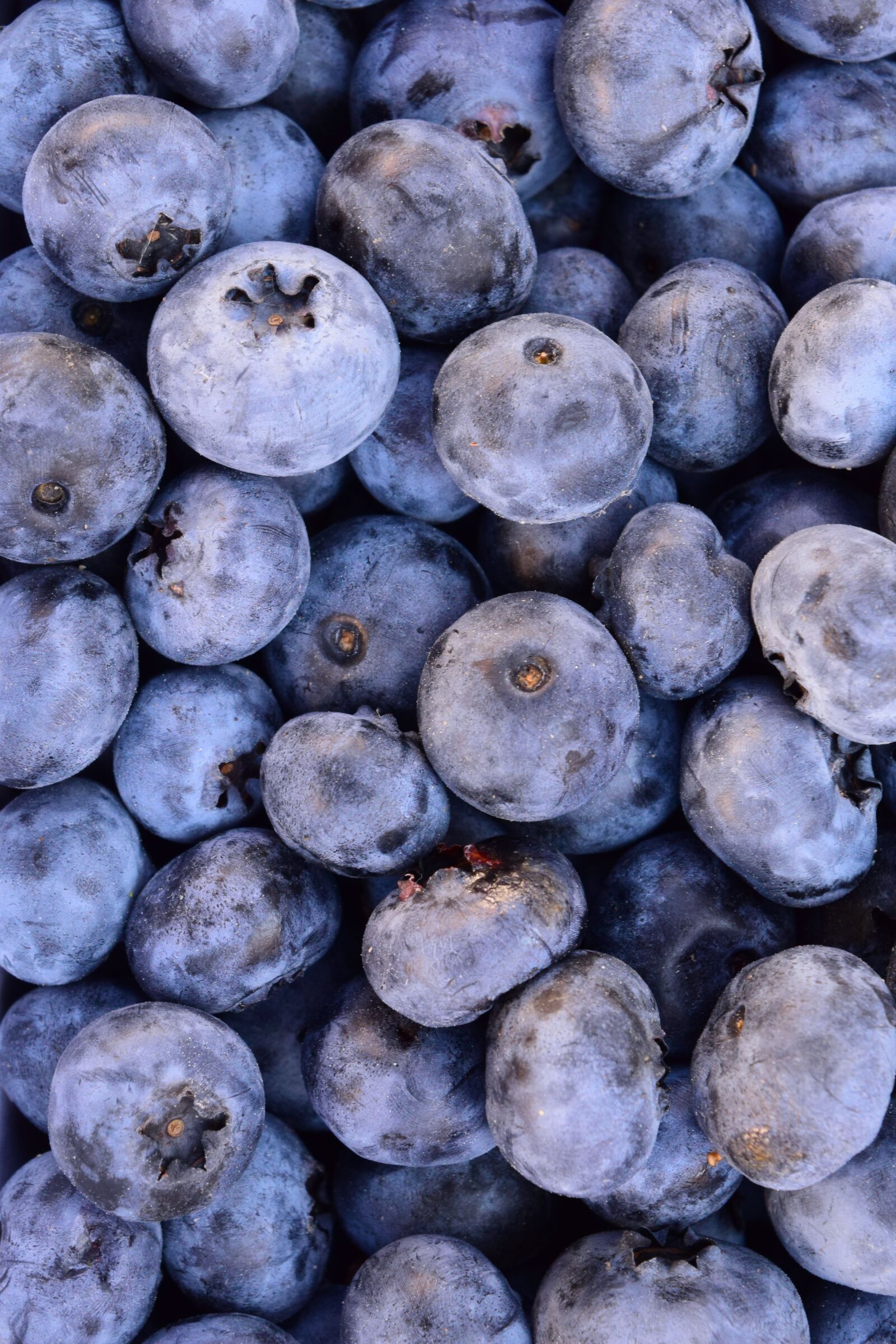 Nikon D3300 sample photo. Blueberries, delicious, fruit photography