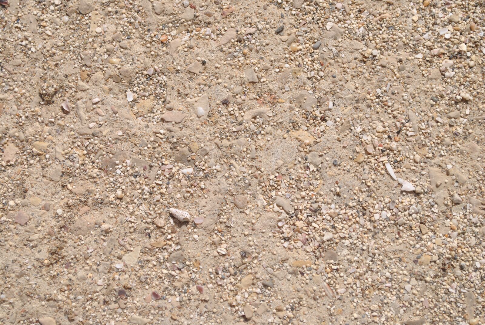 Nikon D3000 sample photo. Sand, beach, texture photography