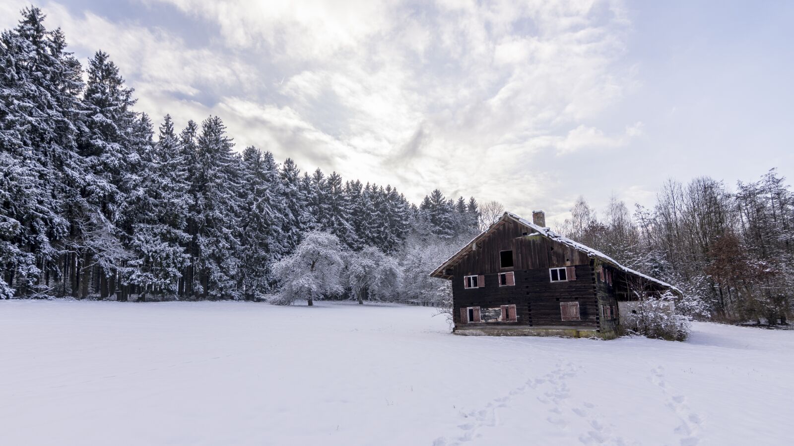 Nikon D7200 sample photo. Snow, winter, cold photography