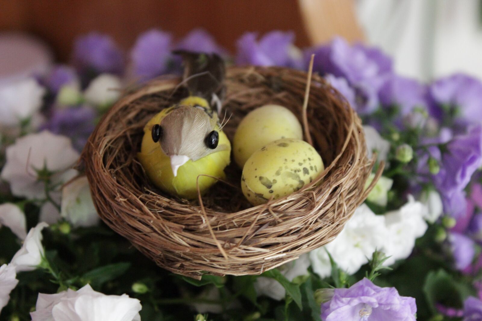 Canon EOS 600D (Rebel EOS T3i / EOS Kiss X5) sample photo. Basket, nest, nature photography