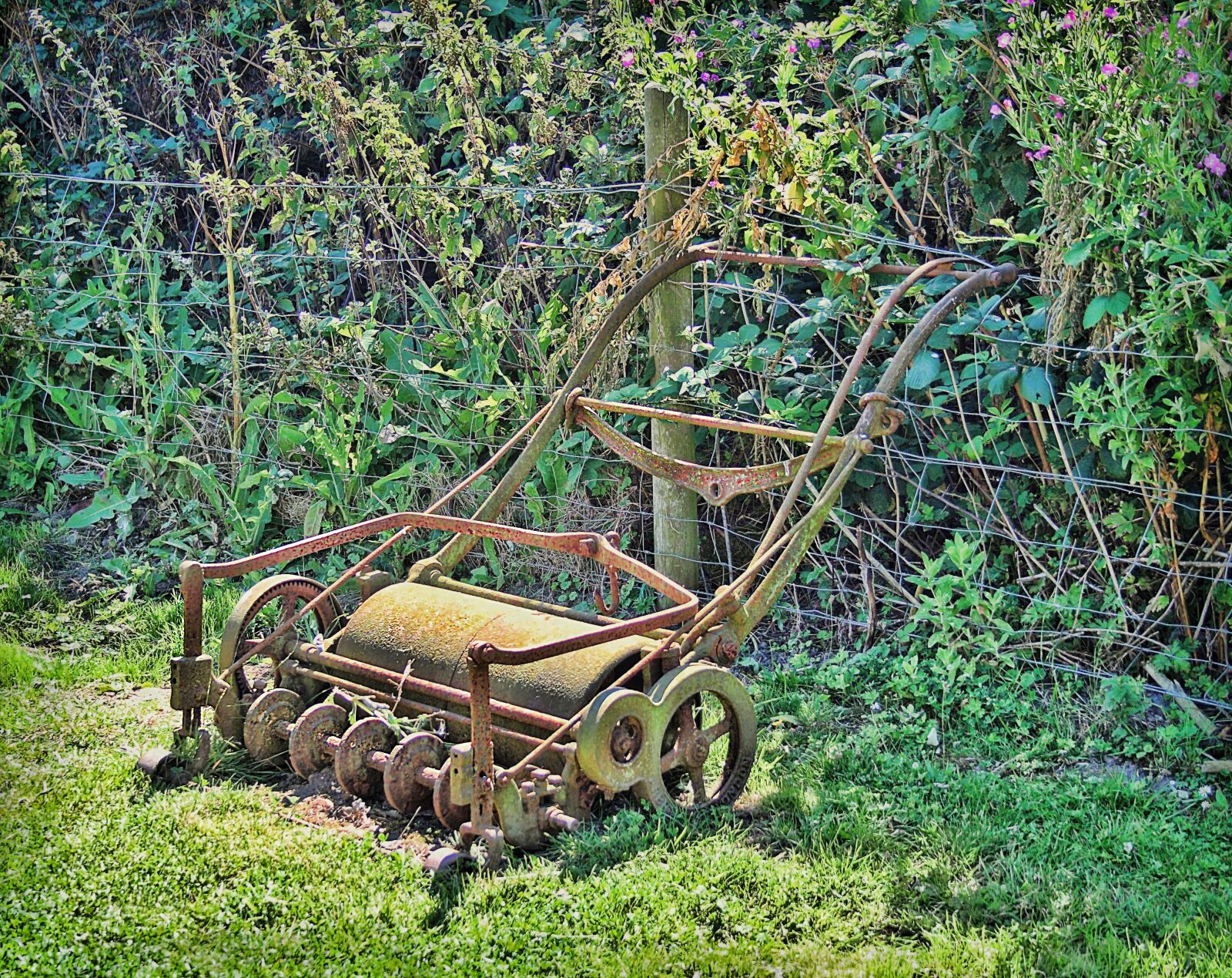 Canon EOS 500D (EOS Rebel T1i / EOS Kiss X3) sample photo. Roller, garden, grass photography
