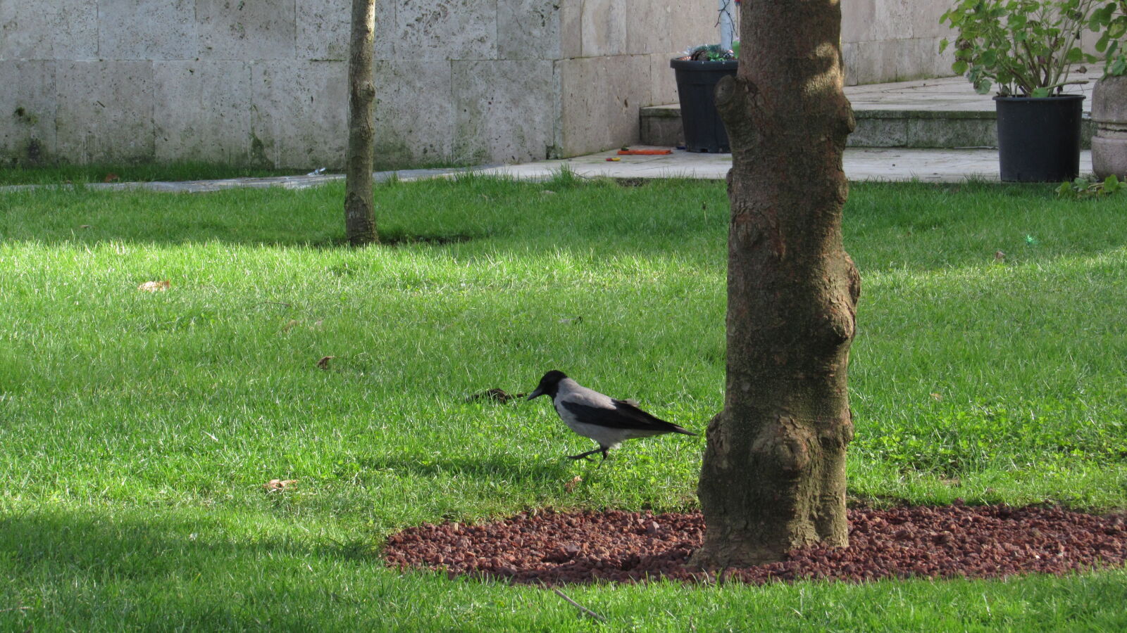 Canon PowerShot SX520 HS sample photo