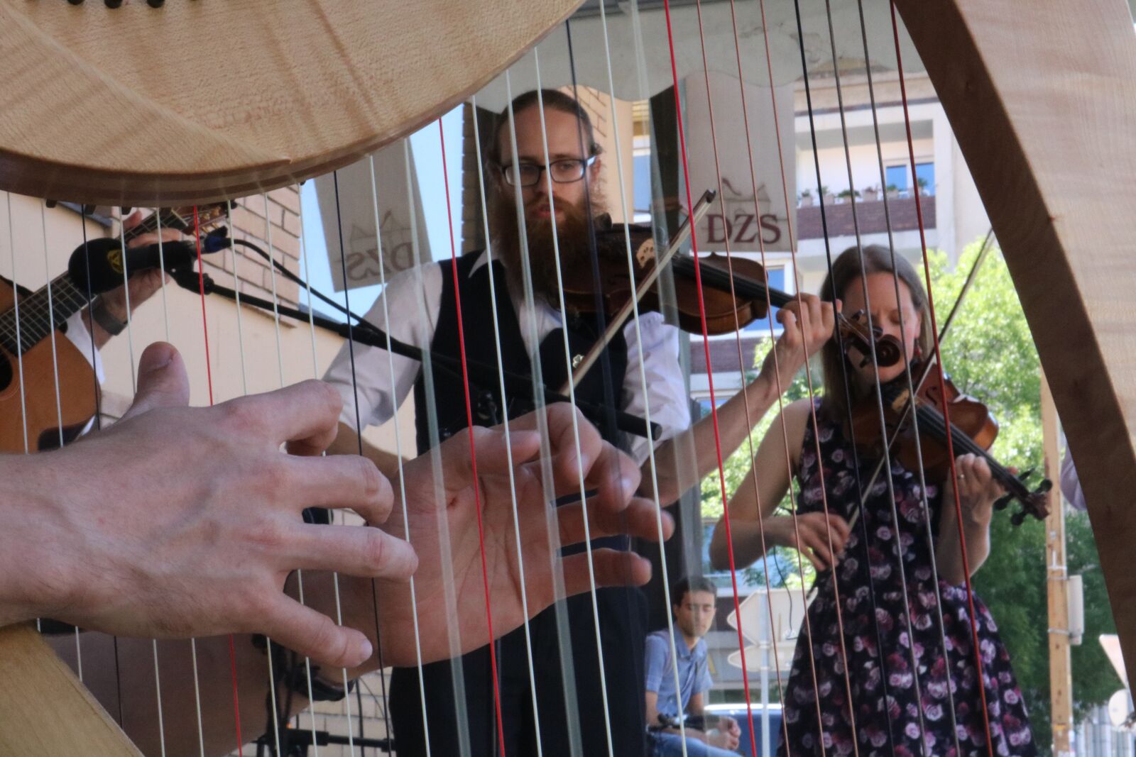 Canon EOS 750D (EOS Rebel T6i / EOS Kiss X8i) sample photo. Harp, music, irish photography