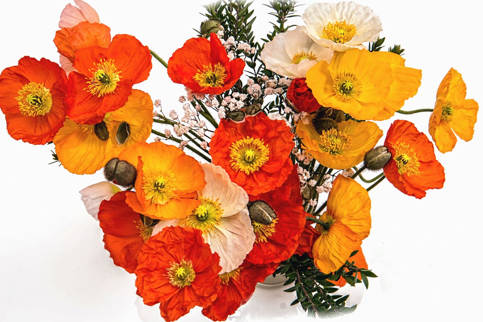 Canon EOS 70D sample photo. Bouquet, arrangement, decoration, flower photography
