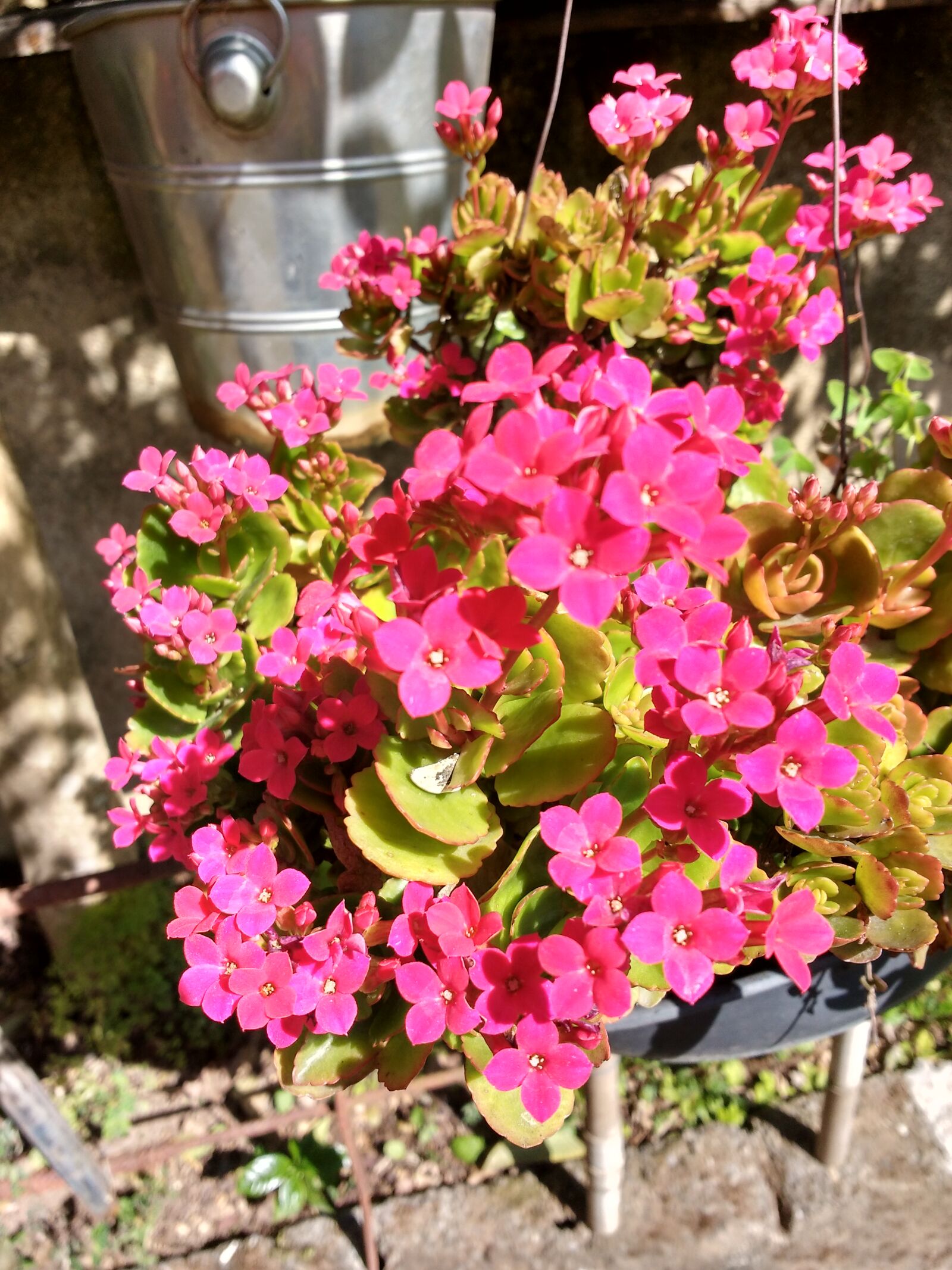Motorola MotoG3 sample photo