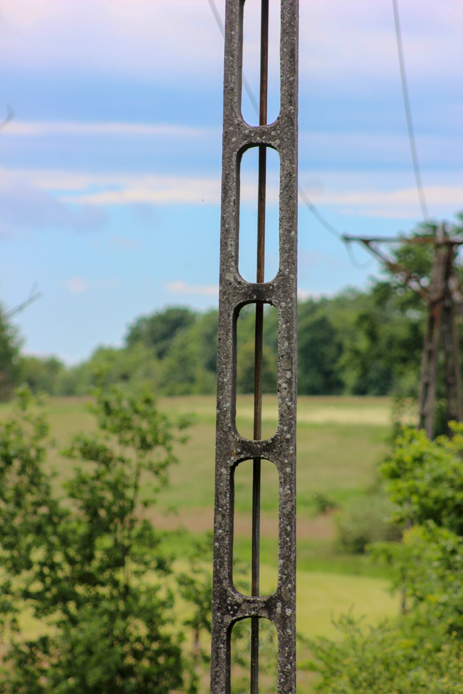 Canon EF75-300mm f/4-5.6 sample photo. Nature, green, brook photography