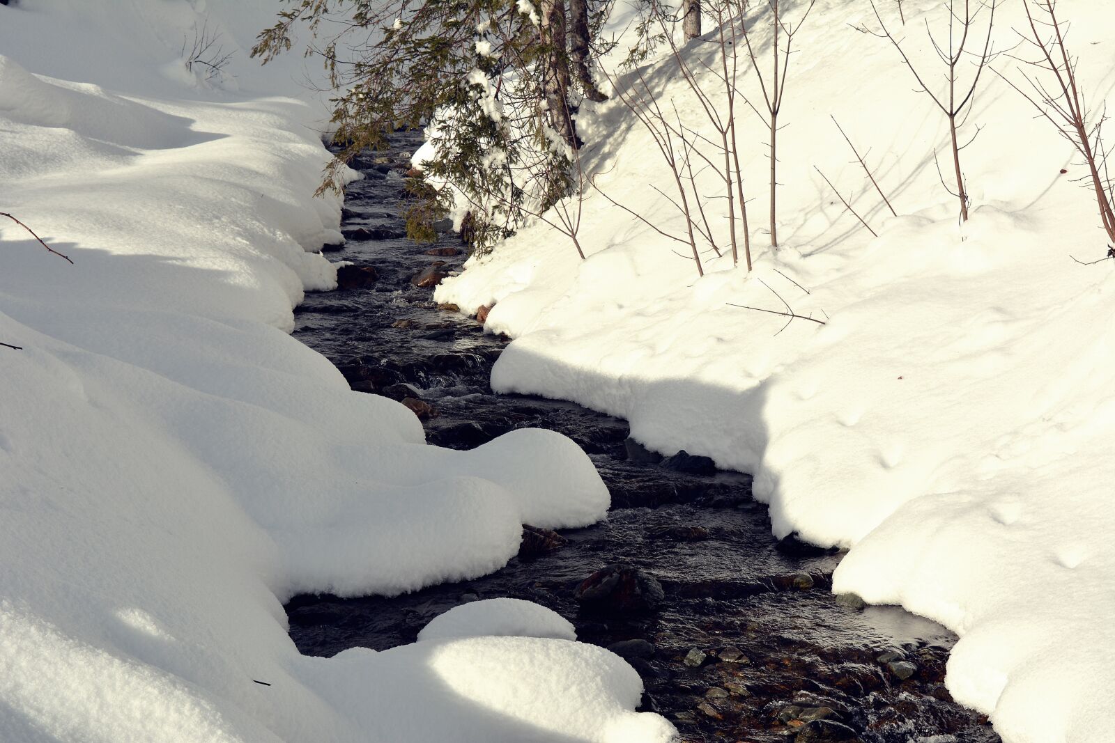 Nikon D5200 sample photo. Snowy stream, stream, water photography