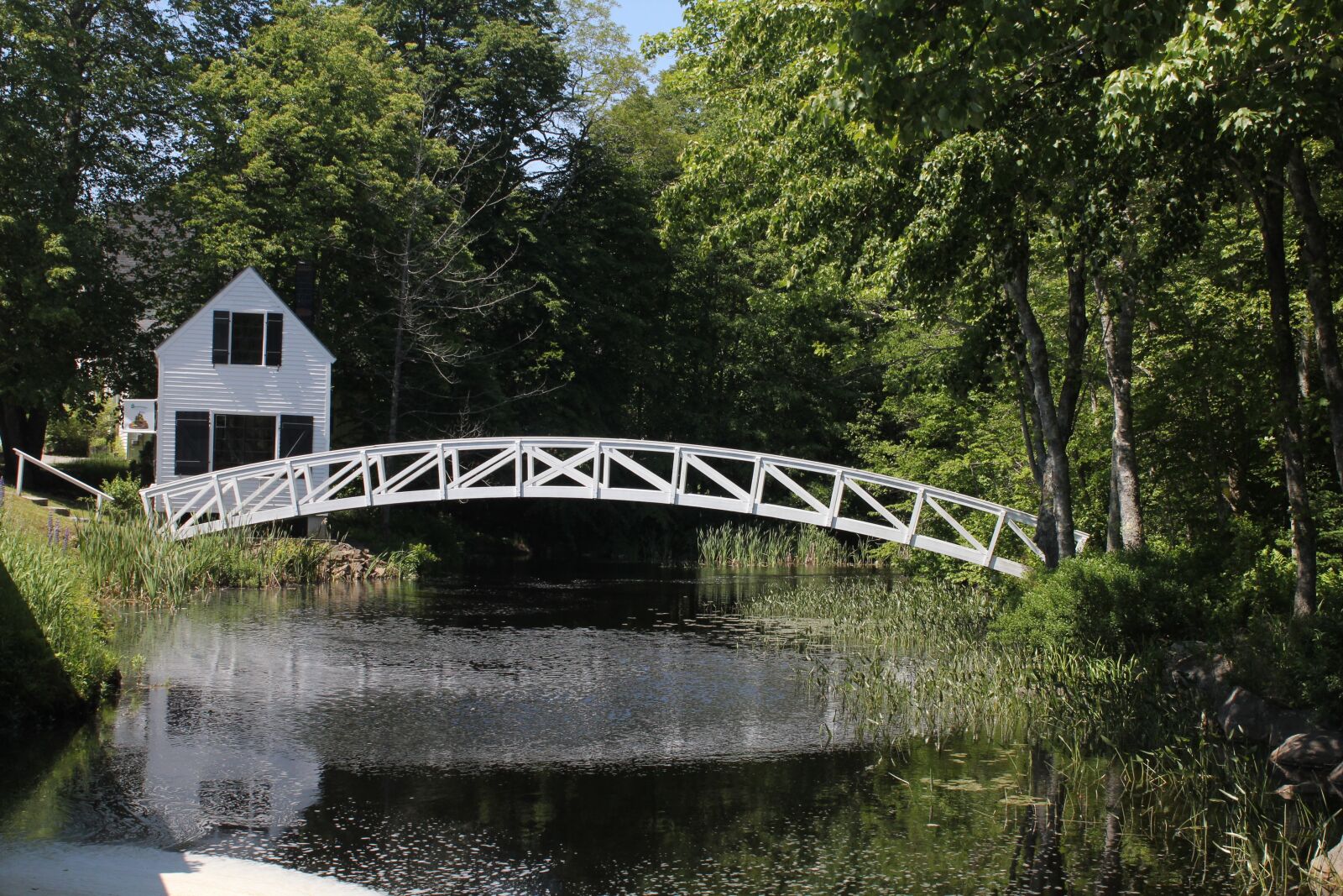 Canon EOS 550D (EOS Rebel T2i / EOS Kiss X4) sample photo. Nature, bridge, wood photography
