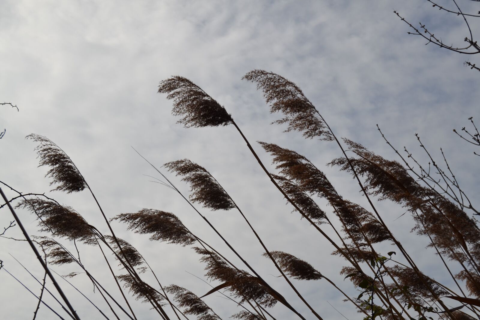 Nikon D3100 sample photo. Nature, lake, italy photography
