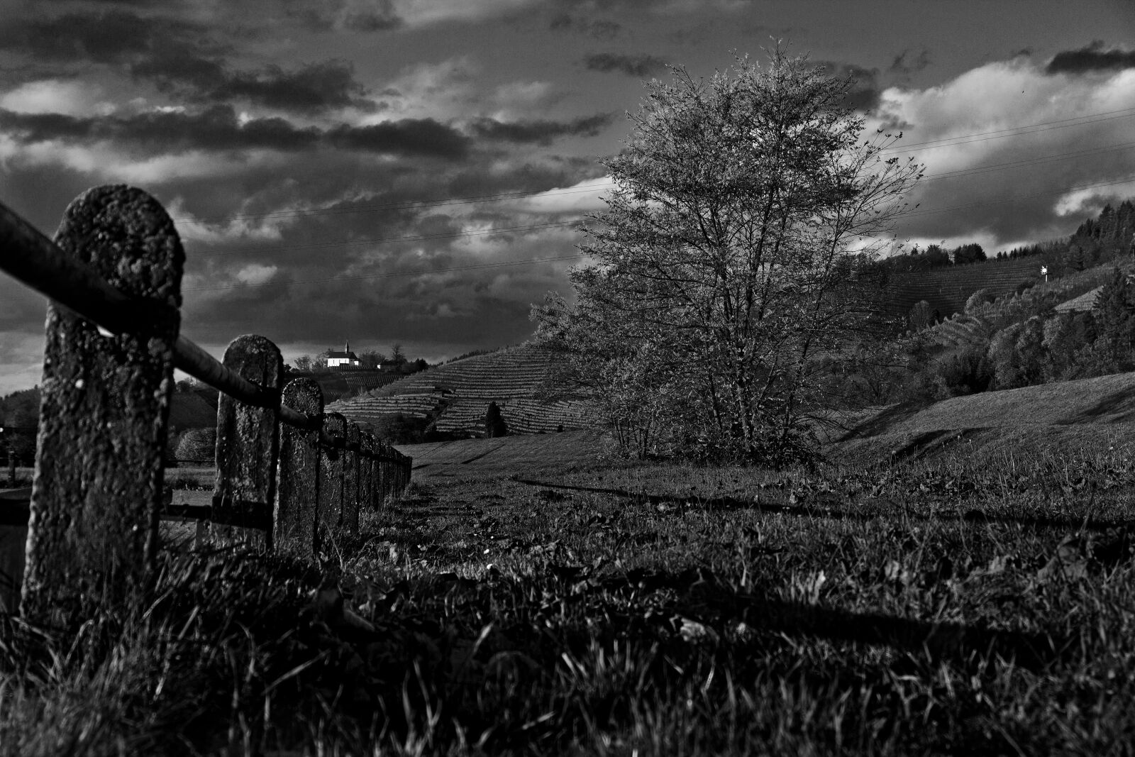 Canon EOS 600D (Rebel EOS T3i / EOS Kiss X5) sample photo. Fence, fields, mood photography