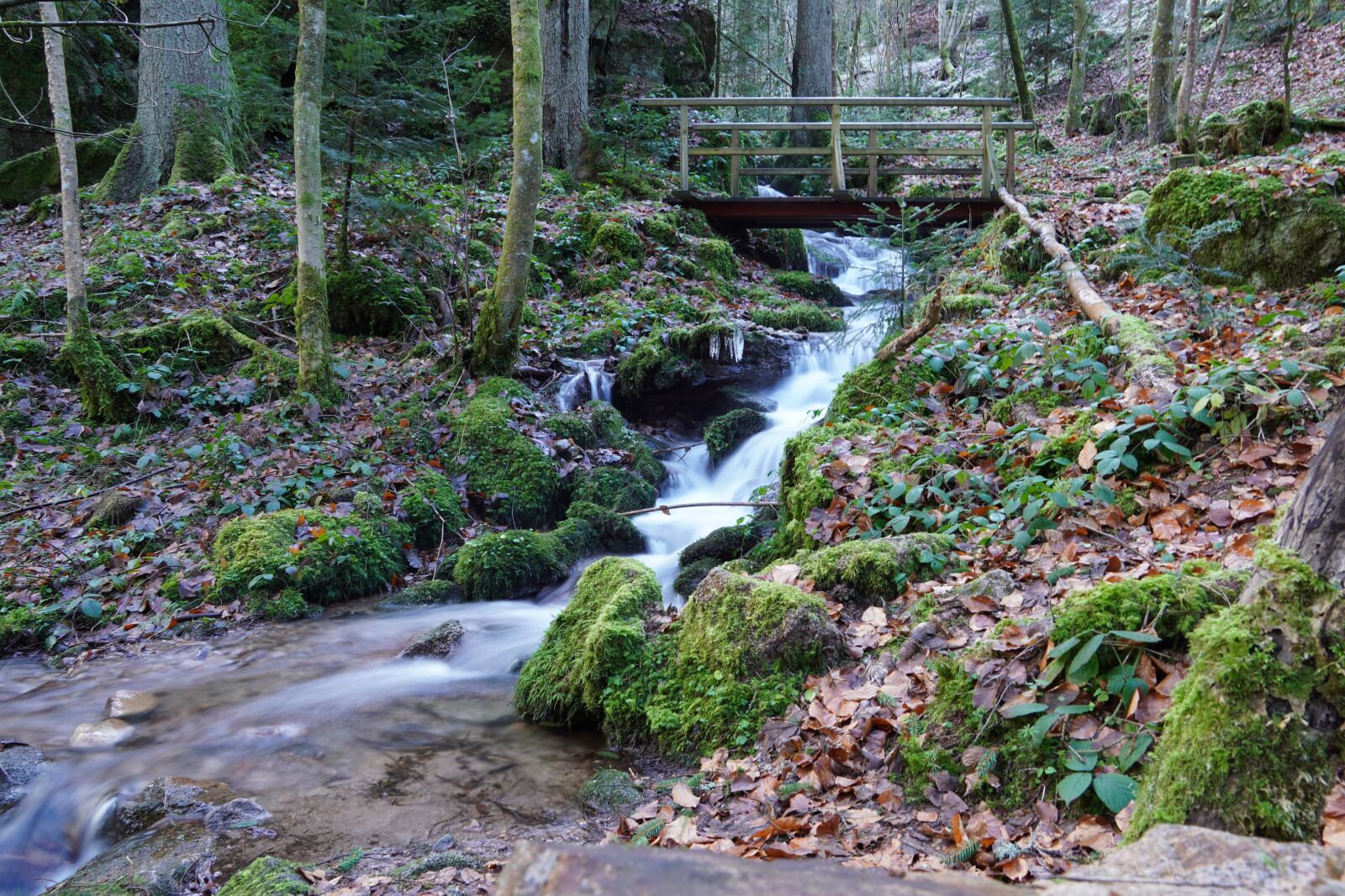 Sony a6400 sample photo. Bach, bridge, schramberg photography