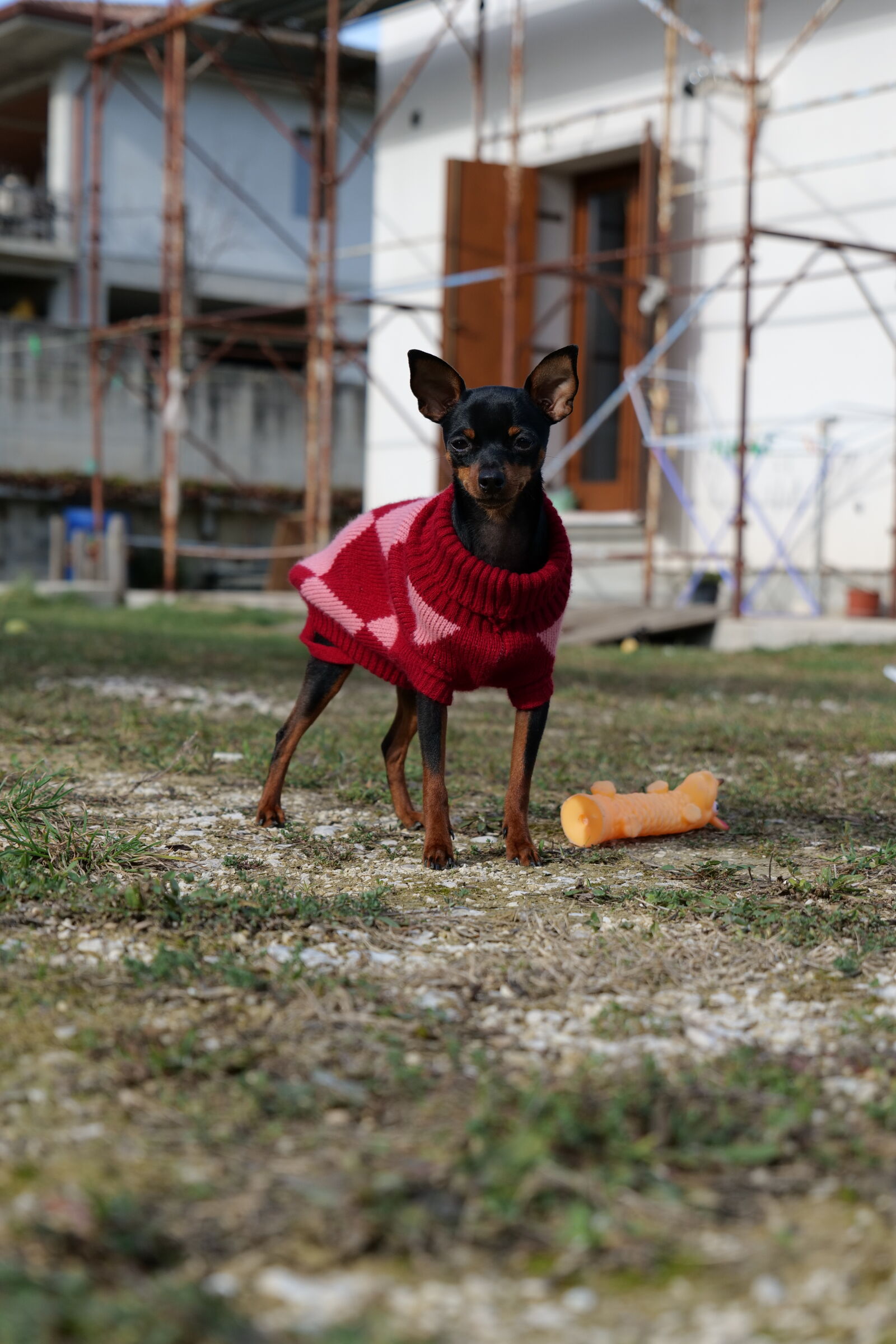 Panasonic DC-S5D sample photo