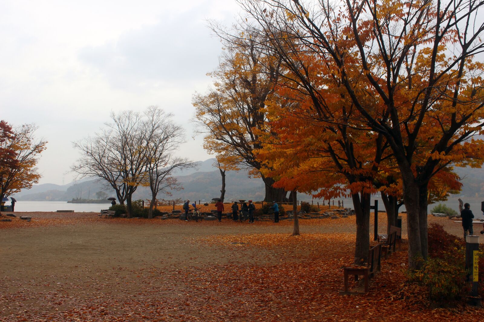 Canon EOS 600D (Rebel EOS T3i / EOS Kiss X5) sample photo. Tree, landscape, nature photography
