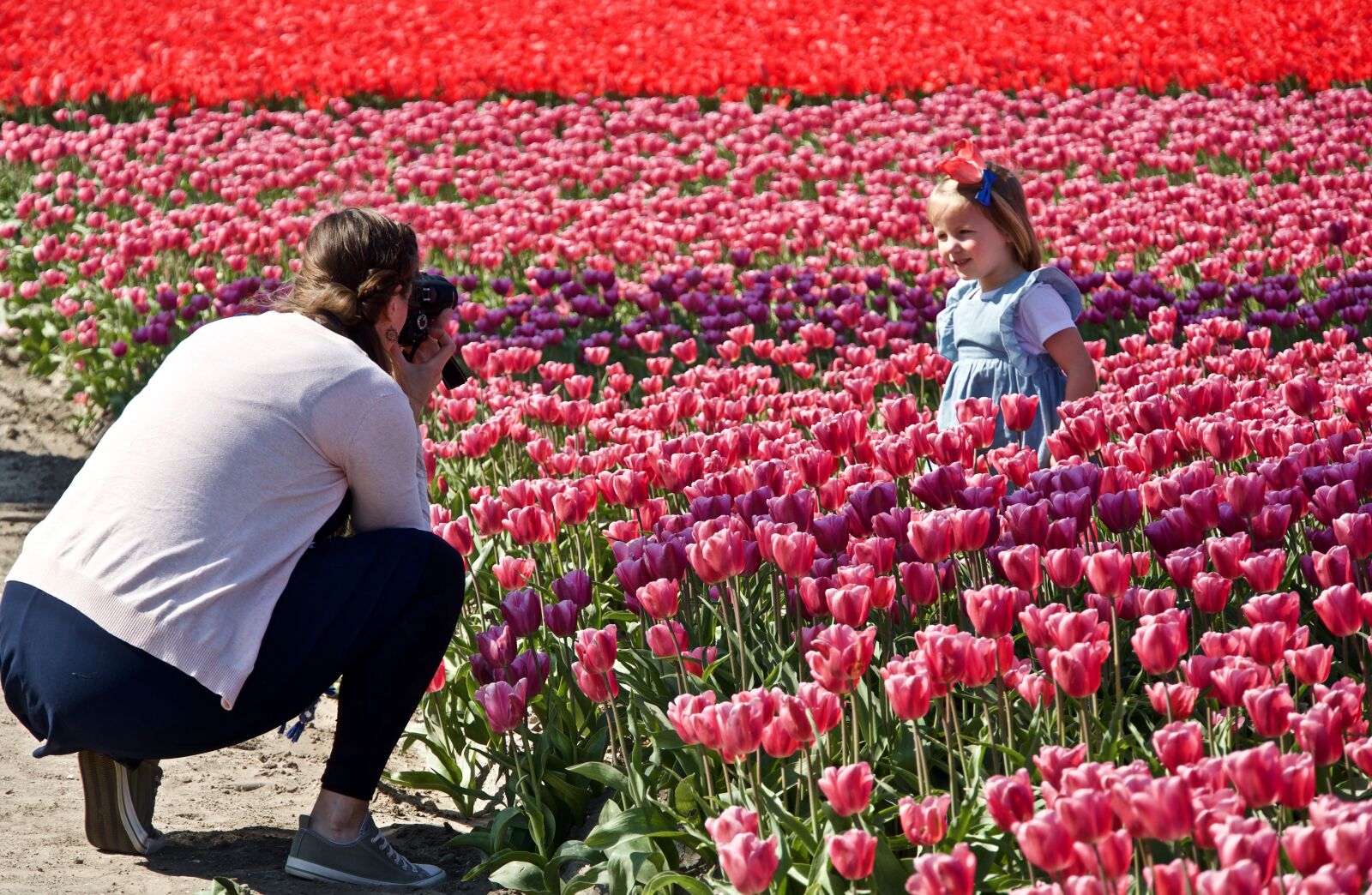 Sony a6500 sample photo. Photo, snapshot, photographer photography