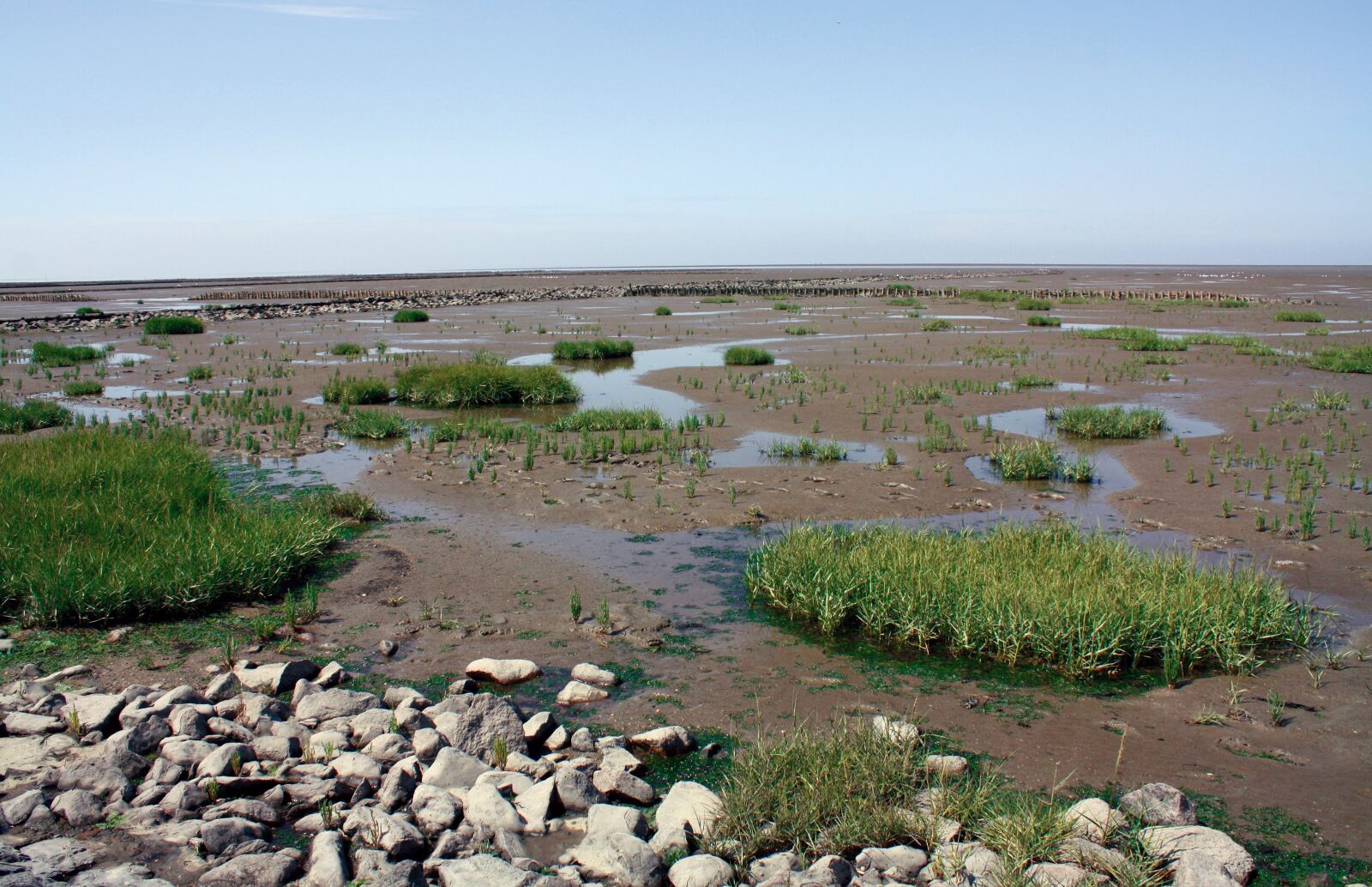 Canon EOS 450D (EOS Rebel XSi / EOS Kiss X2) sample photo. Salt marshes, north sea photography