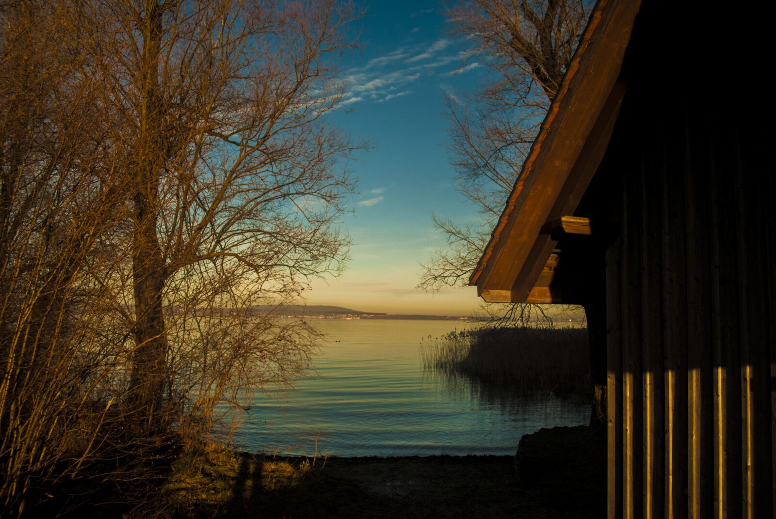 Nikon D3000 sample photo. Sunset, trees, lanscape photography