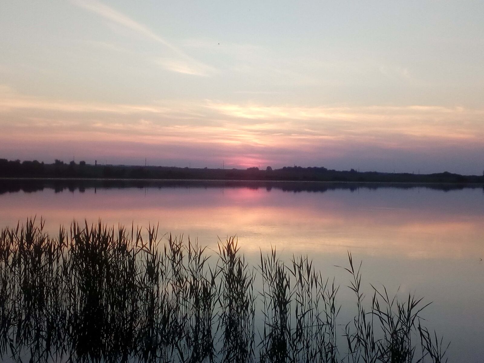 ZTE BLADE A510 sample photo. Dawn, marshland, reflection, swamp photography