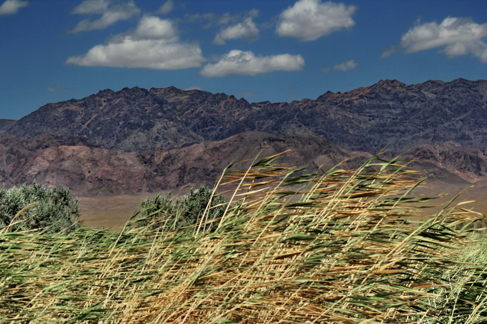 Canon EOS 60D + EF75-300mm f/4-5.6 sample photo. Reeds, mountain, cloud photography