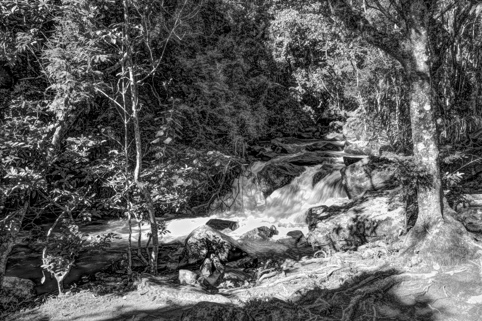 Ricoh GR IV MONOCHROME sample photo