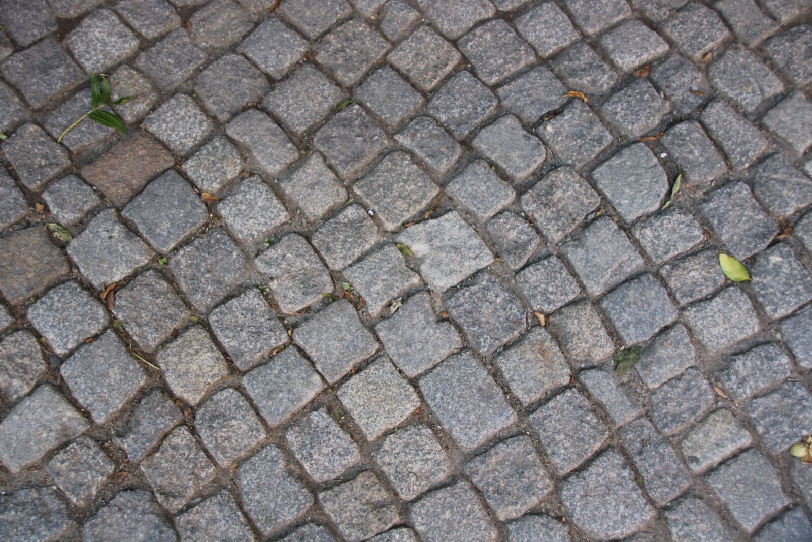 Canon EOS 750D (EOS Rebel T6i / EOS Kiss X8i) sample photo. Patch, stones, sidewalk photography