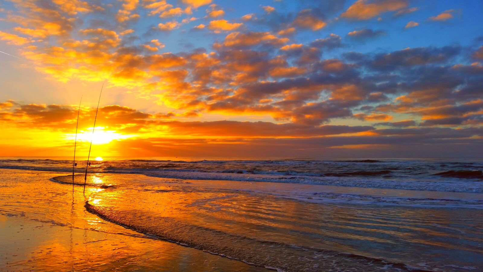Samsung Galaxy S5 sample photo. North sea, fish, sunset photography
