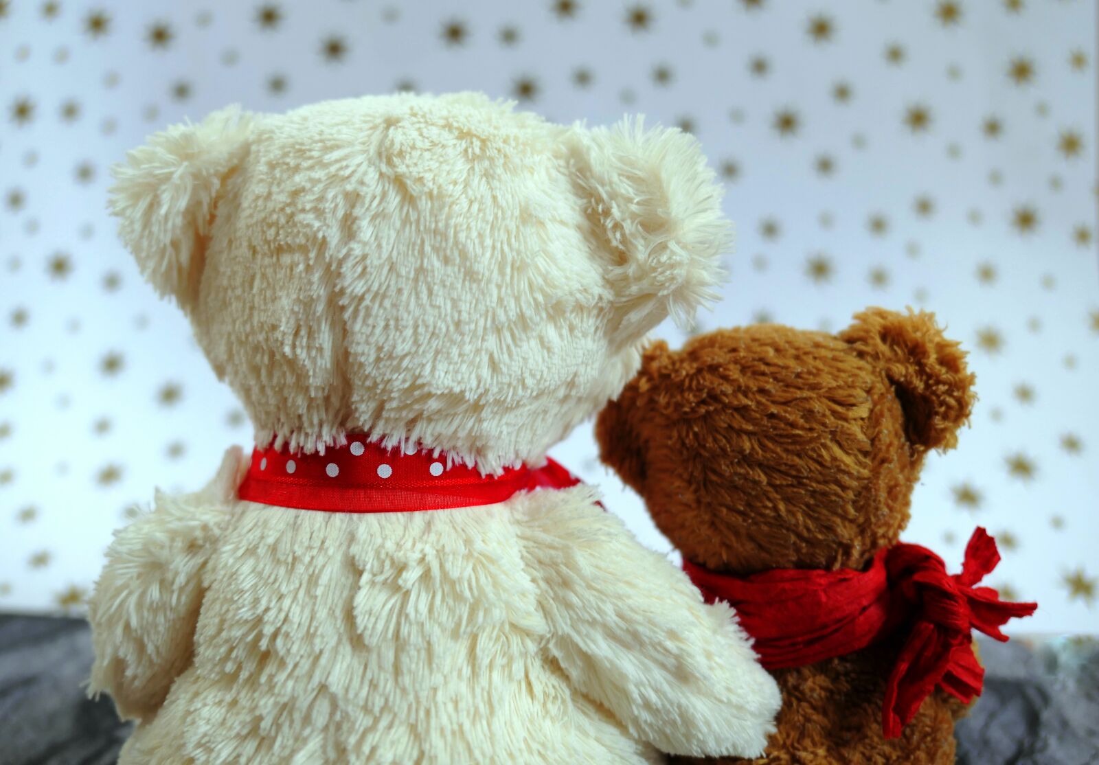 Panasonic Lumix DMC-LX10 (Lumix DMC-LX15) sample photo. Plush toys, bears teddy photography