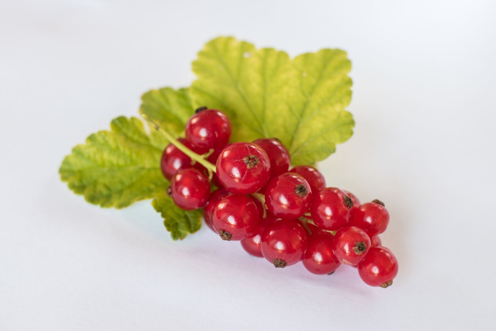 Nikon D5500 sample photo. Currants, red summer, healthy photography