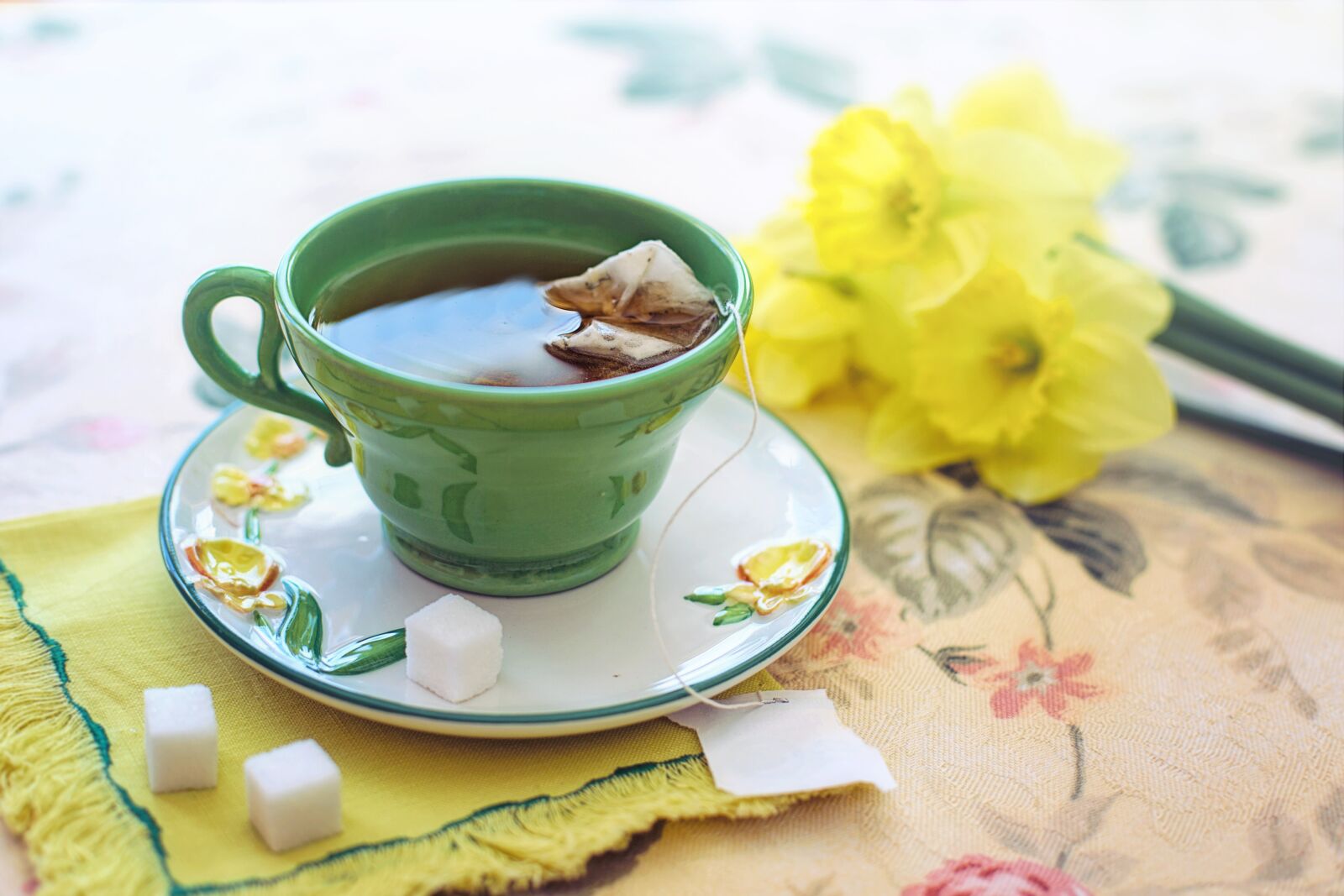 Canon EF 50mm F1.4 USM sample photo. Tea, morning, green photography
