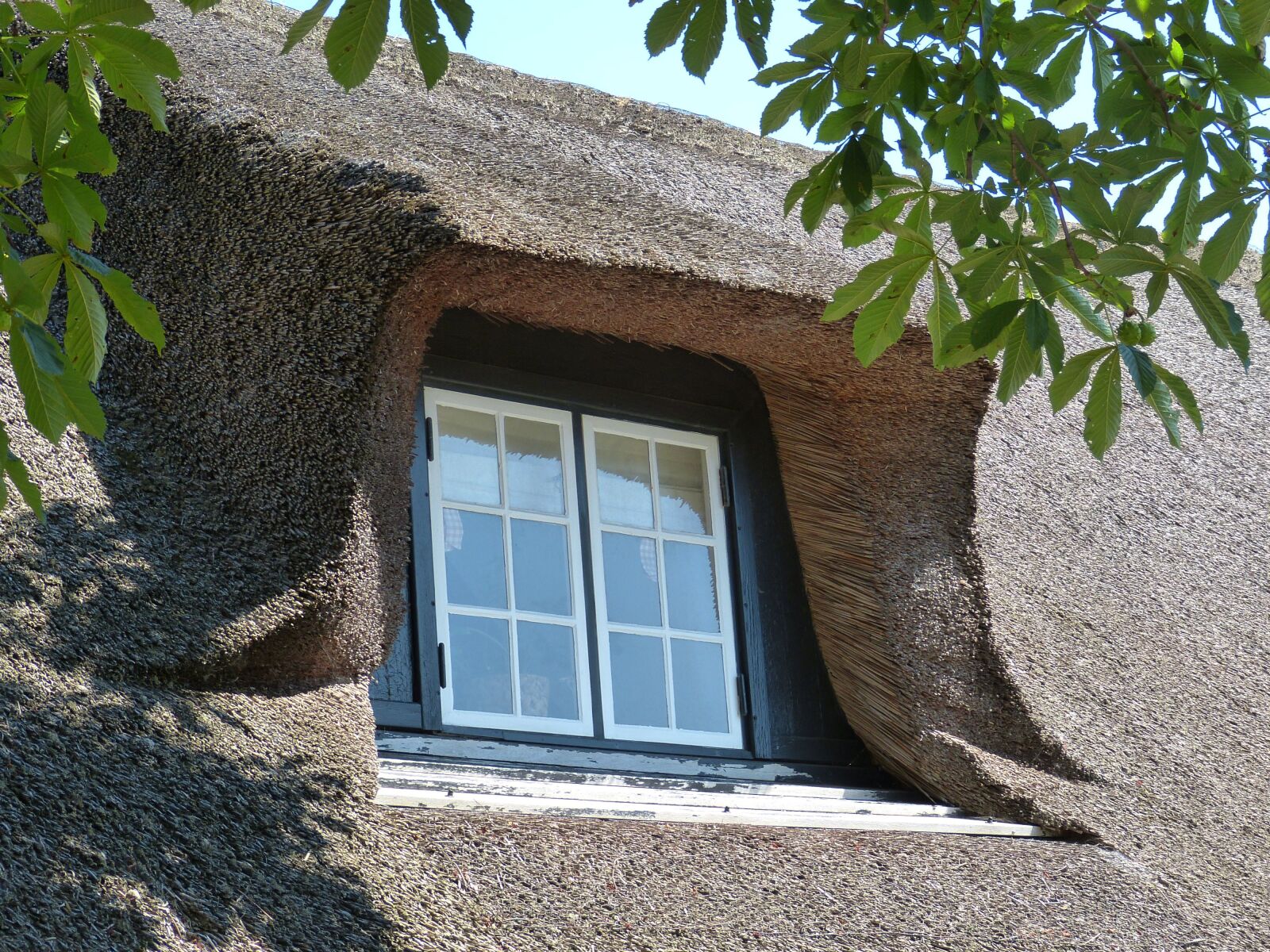 Panasonic Lumix DMC-FZ150 sample photo. Sylt, keitum, places of photography