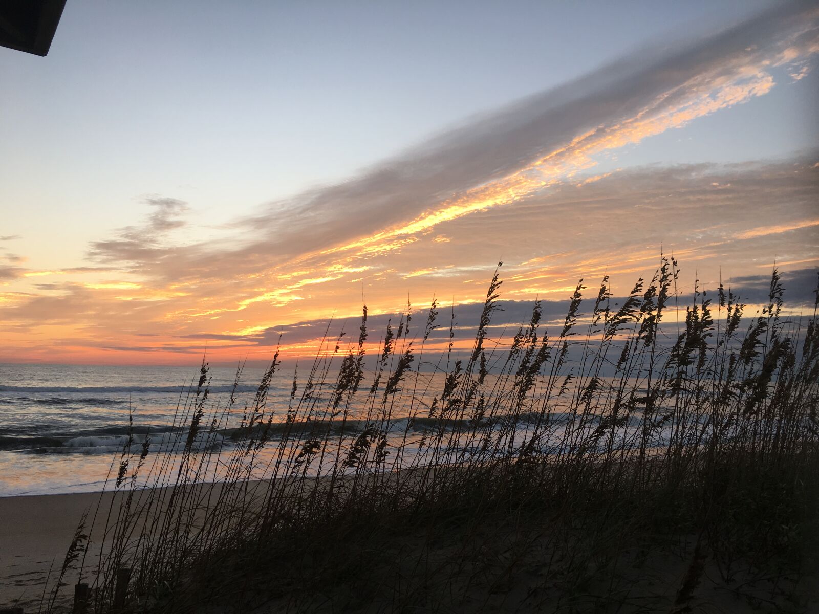iPhone 6s back camera 4.15mm f/2.2 sample photo. Beachlife, early, morning, morning photography