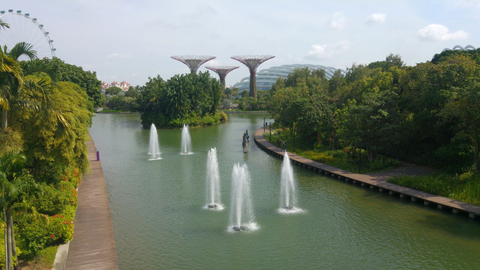 LG G4 sample photo. Singapore, gardens at the photography