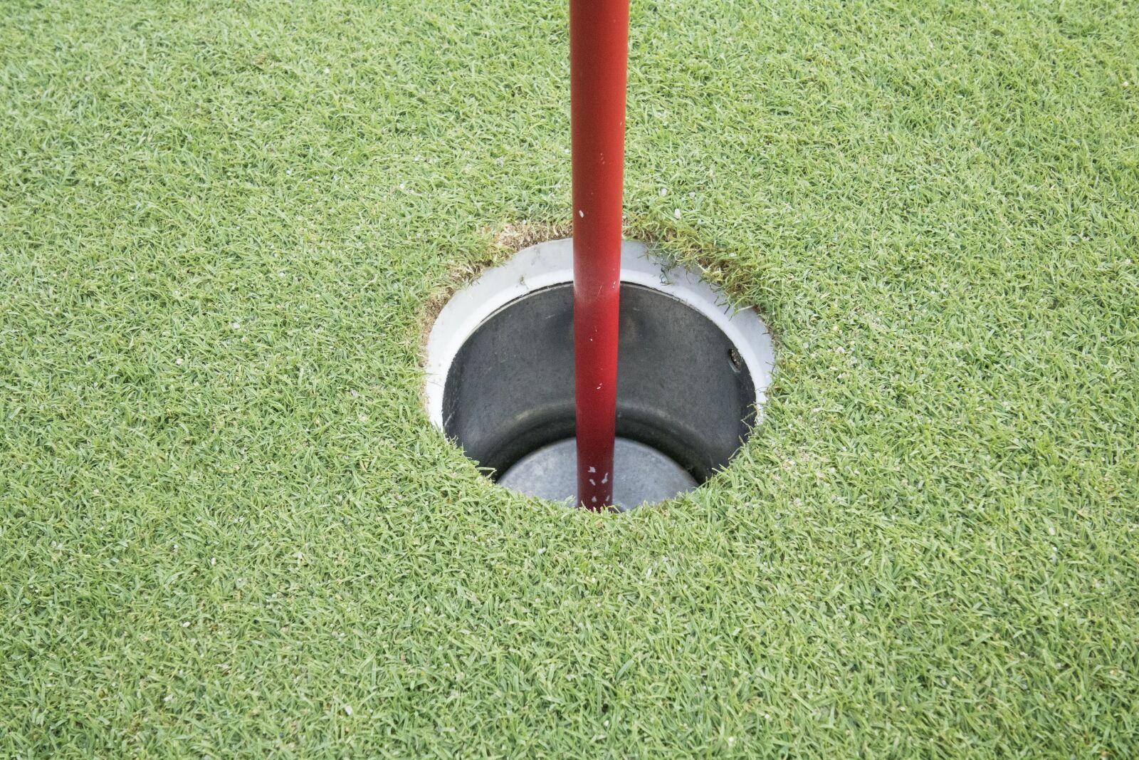 Canon EOS 750D (EOS Rebel T6i / EOS Kiss X8i) sample photo. Golf, green, field photography