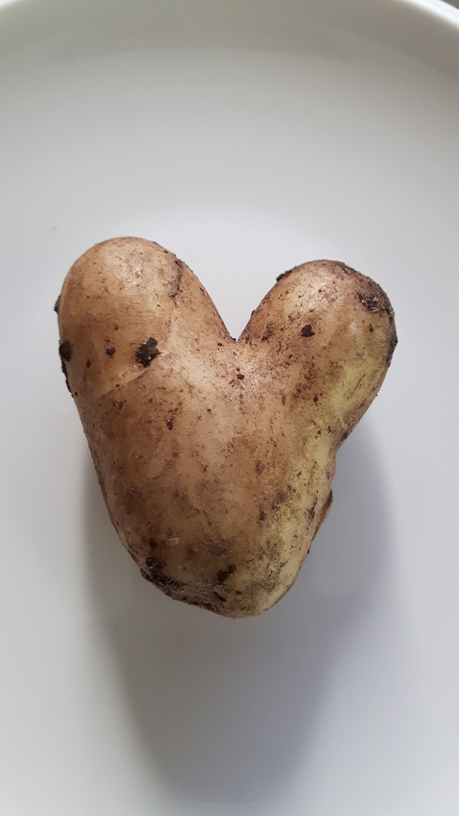Samsung Galaxy S5 Neo sample photo. Potato, heart, love photography