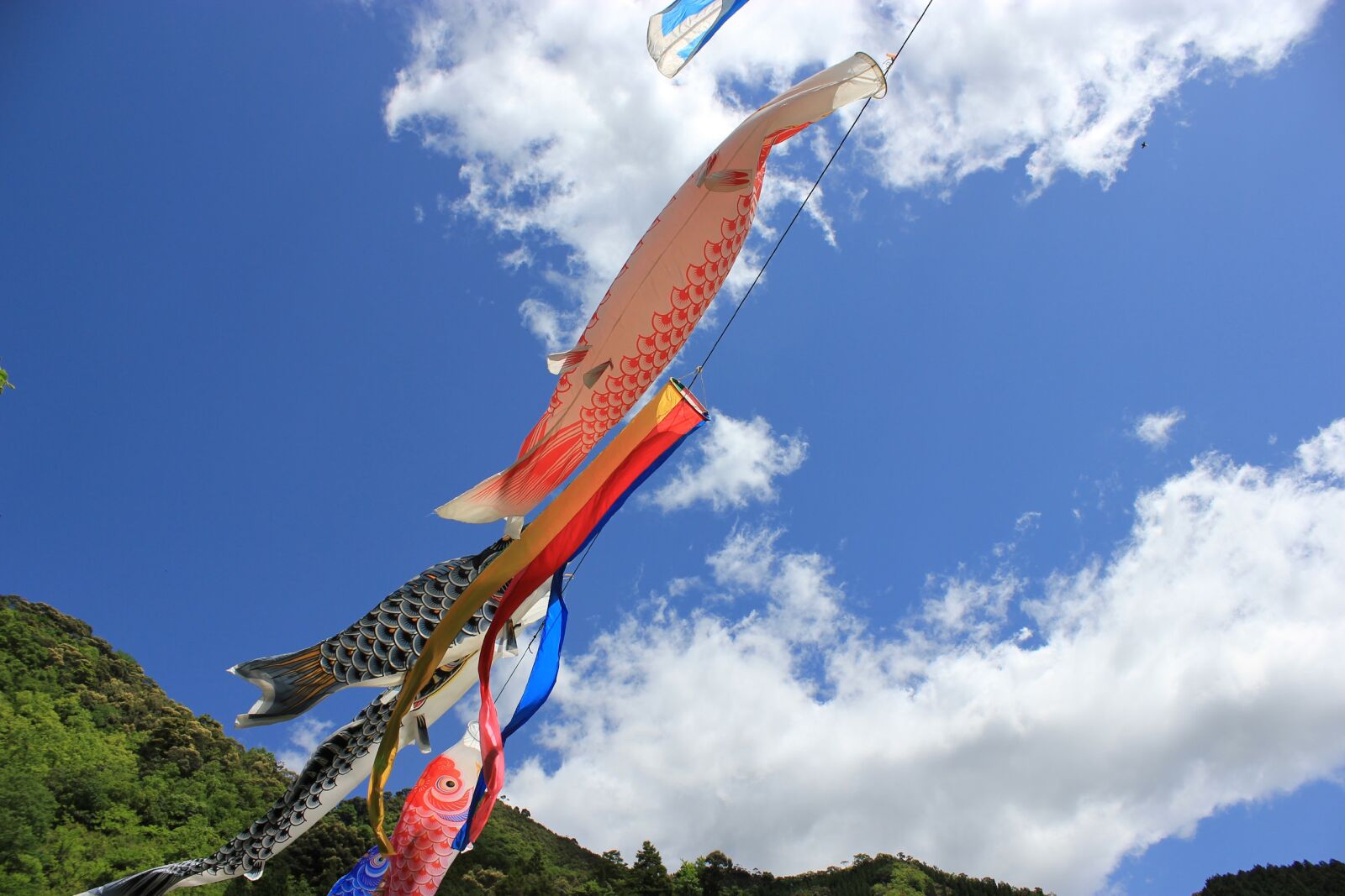 Canon EOS 550D (EOS Rebel T2i / EOS Kiss X4) sample photo. Sky, natural, outdoors photography