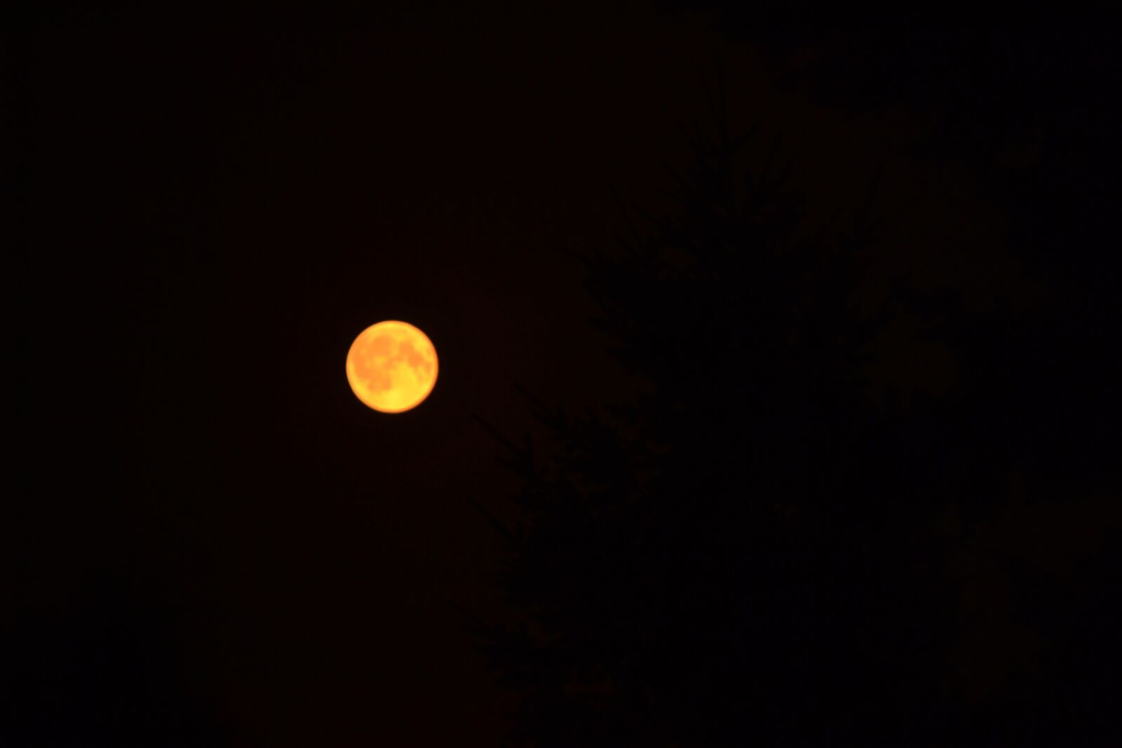 Nikon D3100 sample photo. Moon, astronomy, eclipse photography