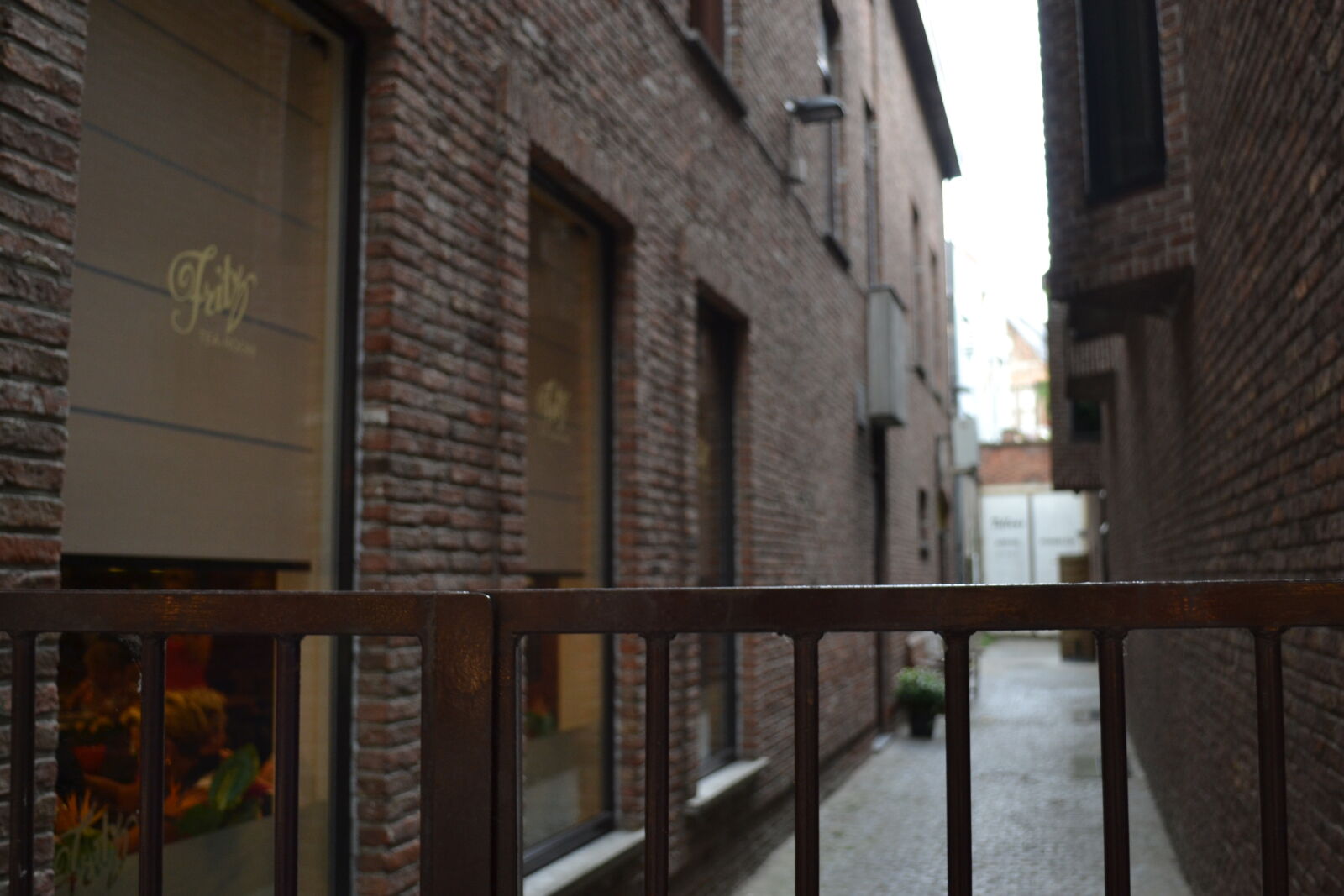 Nikon D3100 sample photo