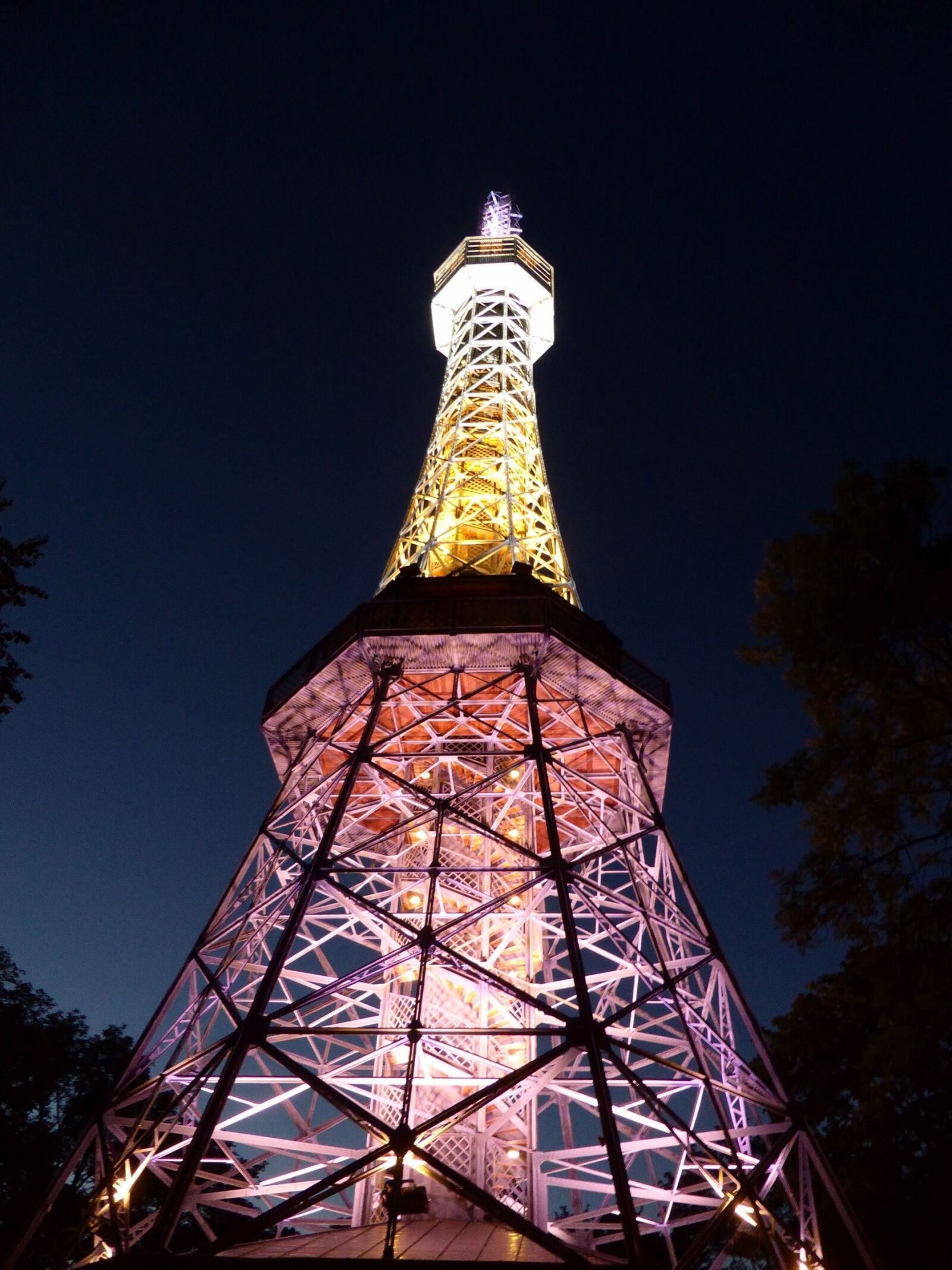 Panasonic DMC-TZ41 sample photo. Prague eiffel tower, pet photography