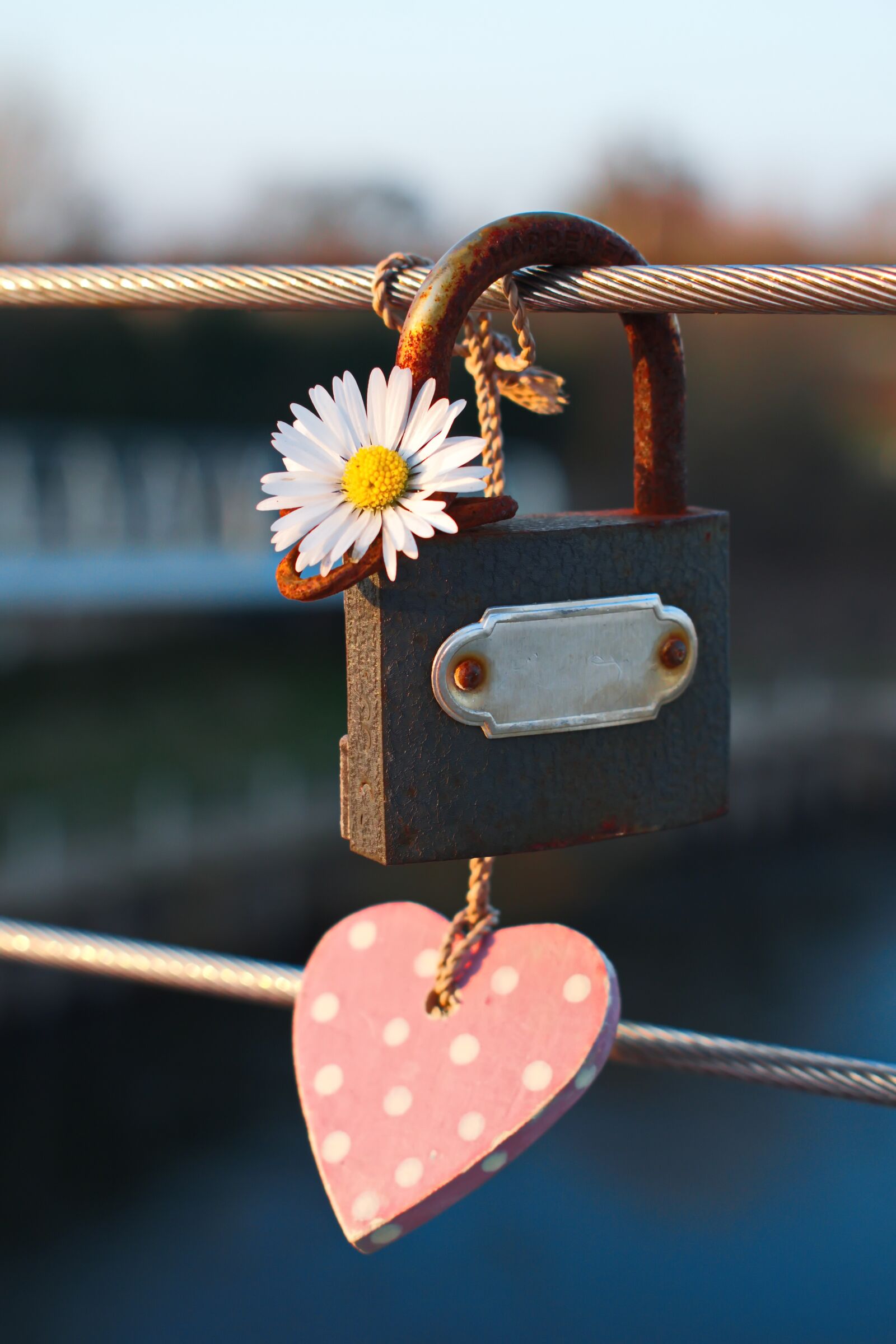 Nikon D3300 sample photo. Padlock, rust, lock photography