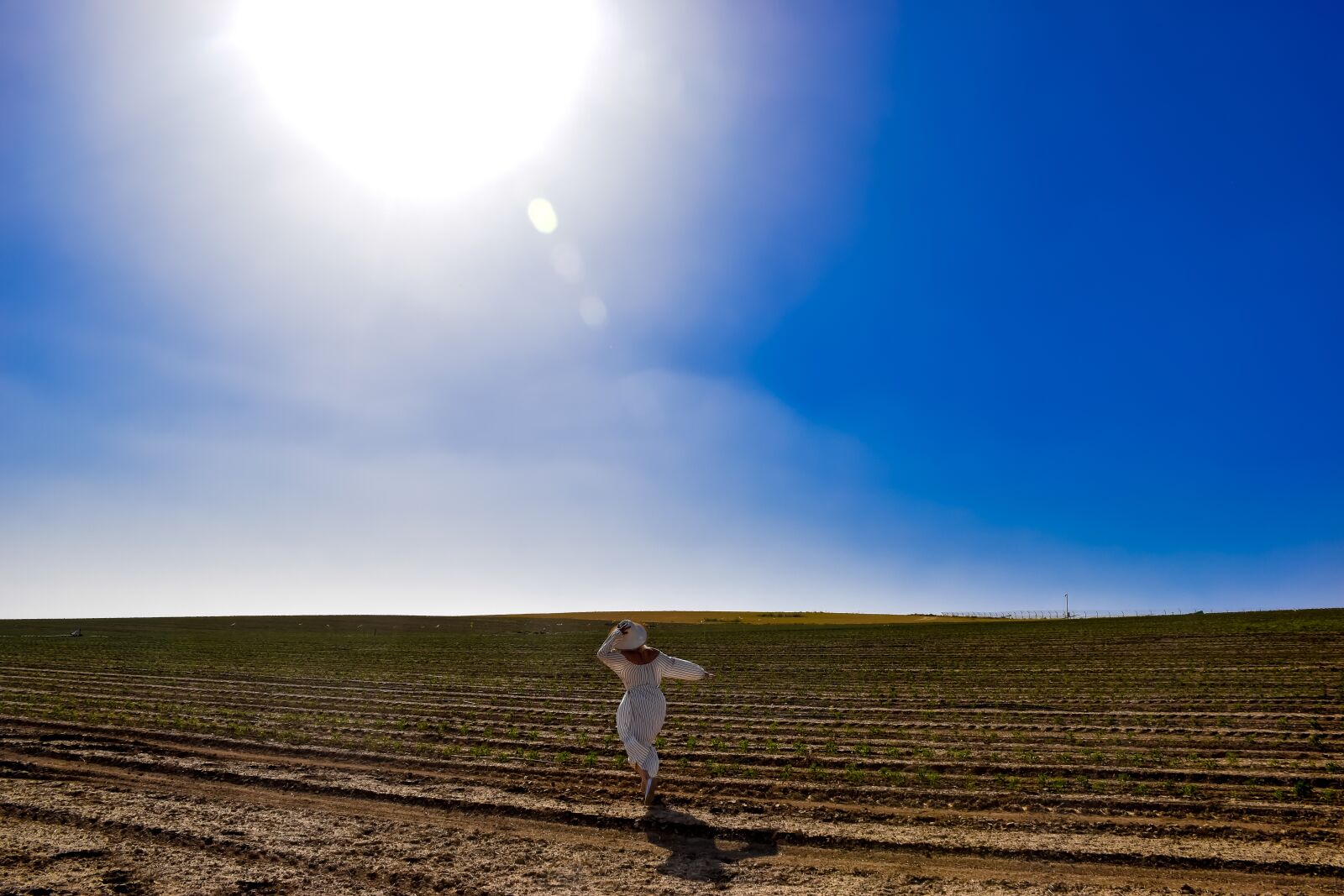 Nikon D5600 sample photo. Sky, happiness, freedom photography