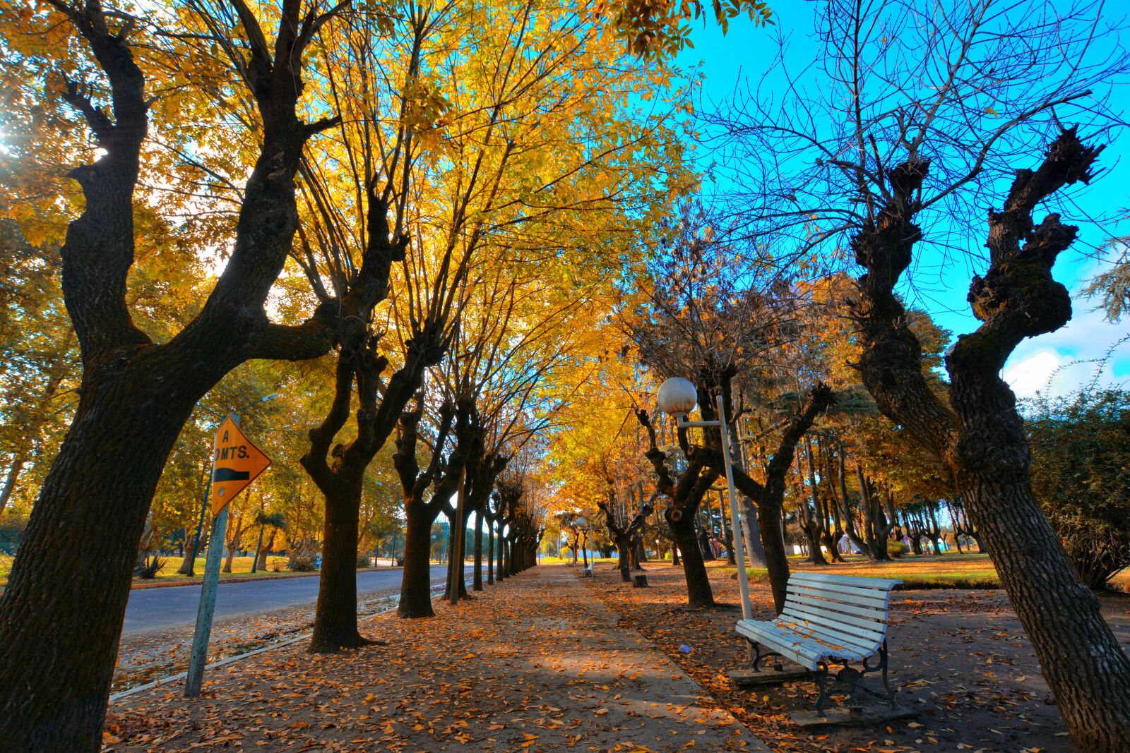 Nikon D7100 sample photo. Autumn, plaza, colors photography