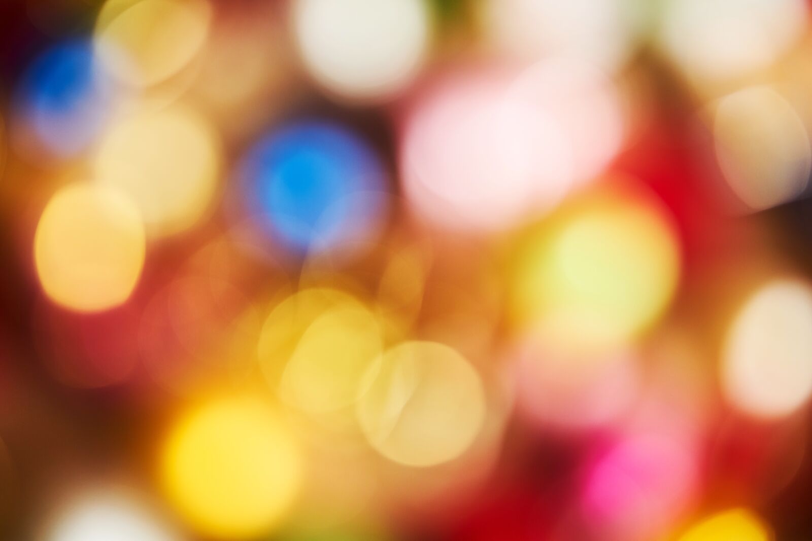 Sigma 85mm F1.4 DG HSM Art sample photo. Christmas, new year, 2019 photography