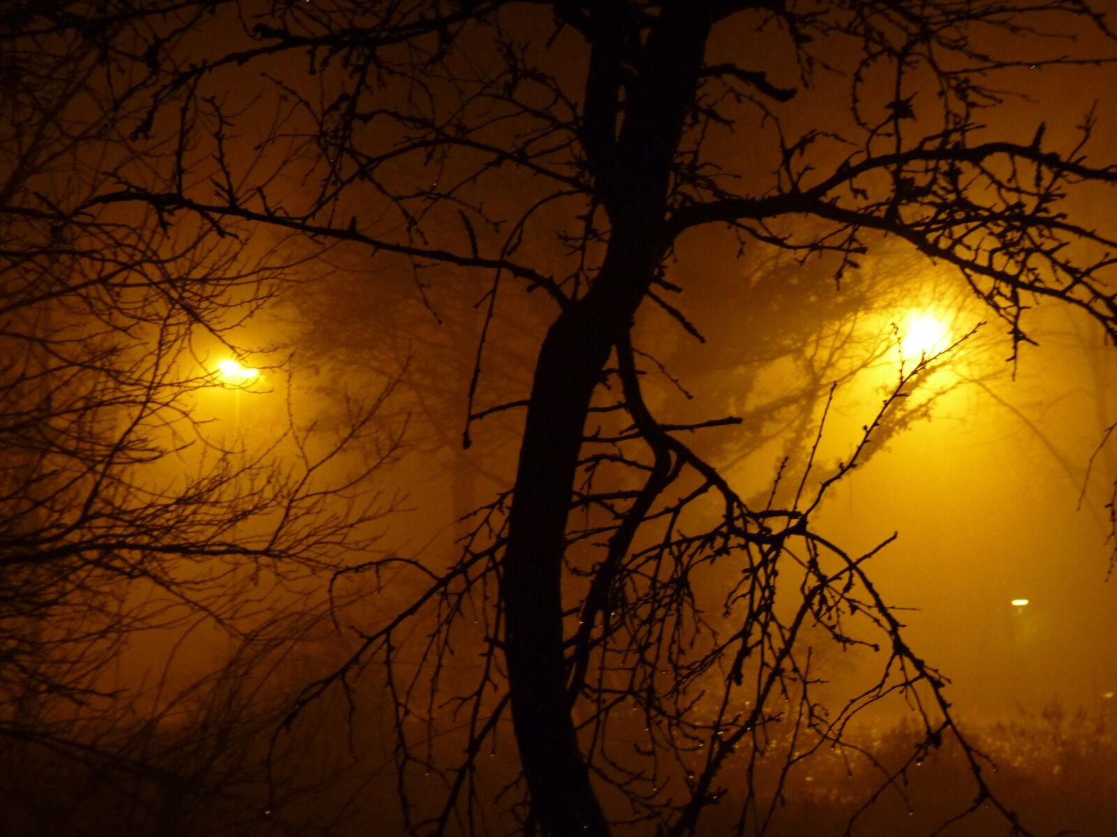 Panasonic Lumix DMC-FZ35 (Lumix DMC-FZ38) sample photo. Fog, night, light photography
