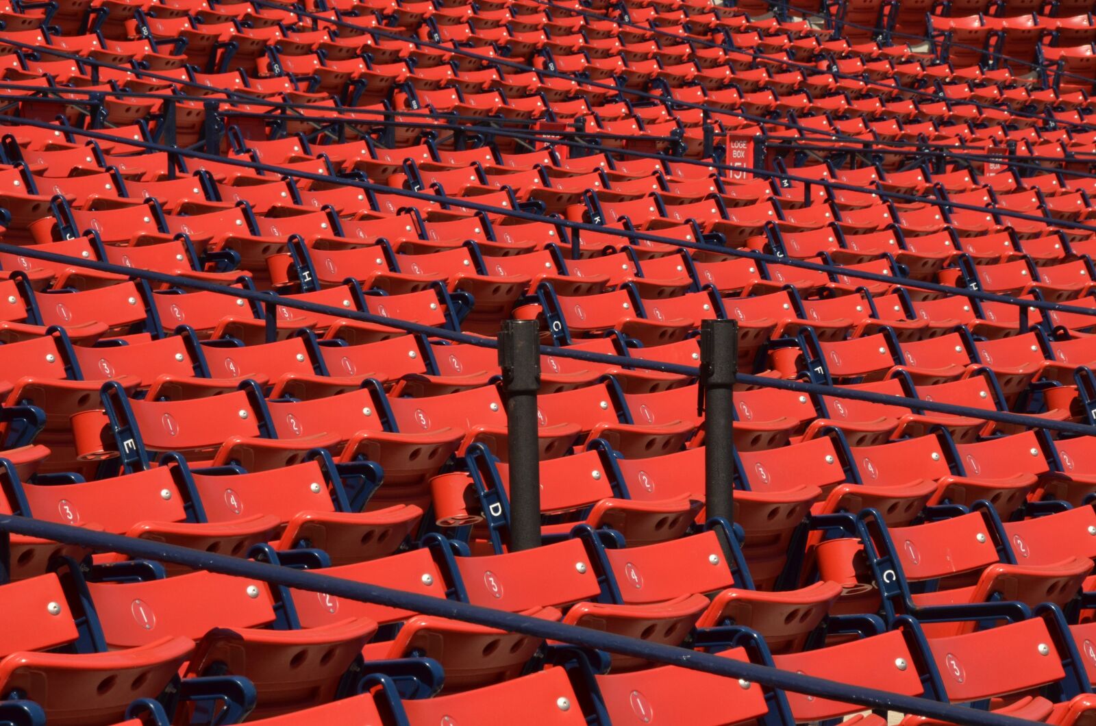 Nikon D7000 sample photo. Sports, baseball, america photography