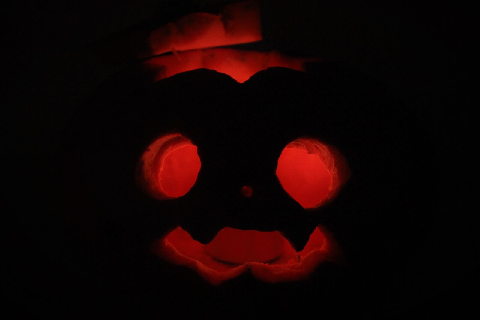 Canon EOS 550D (EOS Rebel T2i / EOS Kiss X4) sample photo. Halloween, pumpkin, creepy photography
