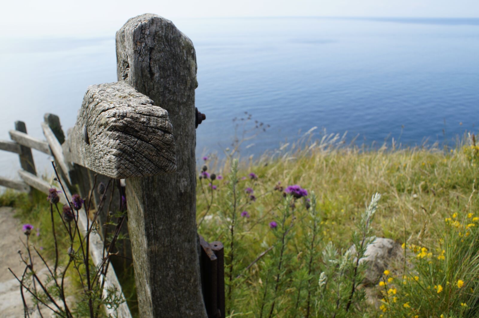 Sony SLT-A57 sample photo. Denmark, bornholm, hammershus photography