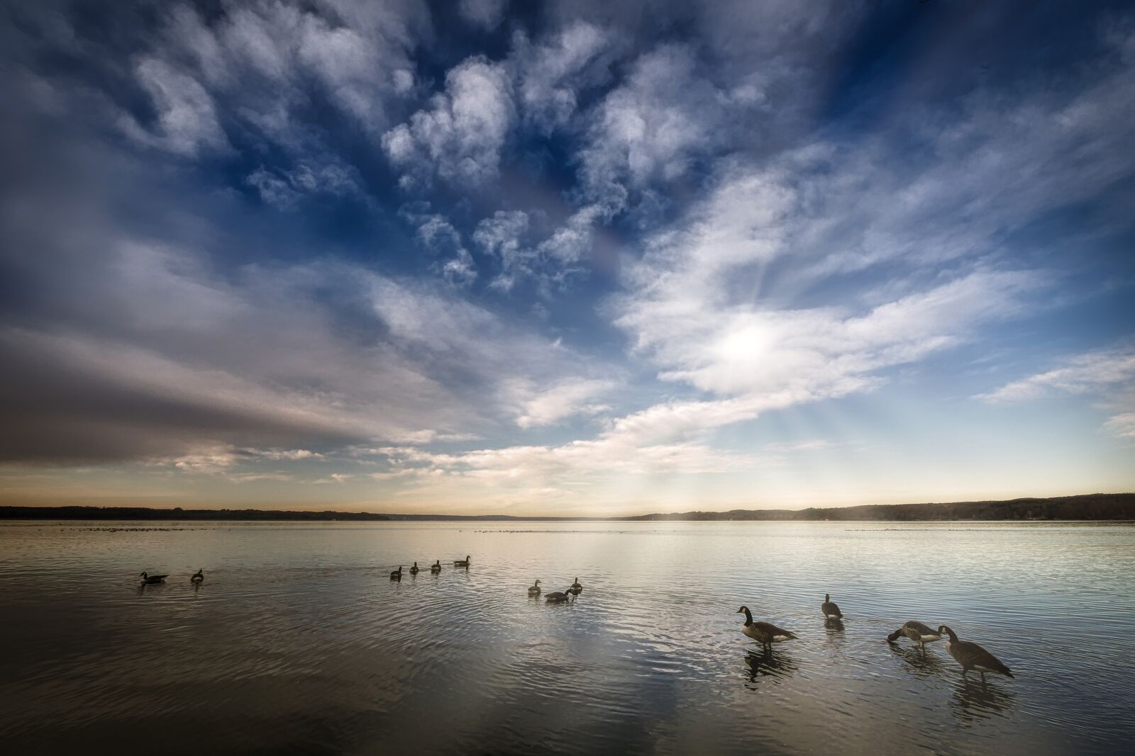 Panasonic Lumix DC-G90 (Lumix DC-G91) sample photo. Lake, bank, ducks photography