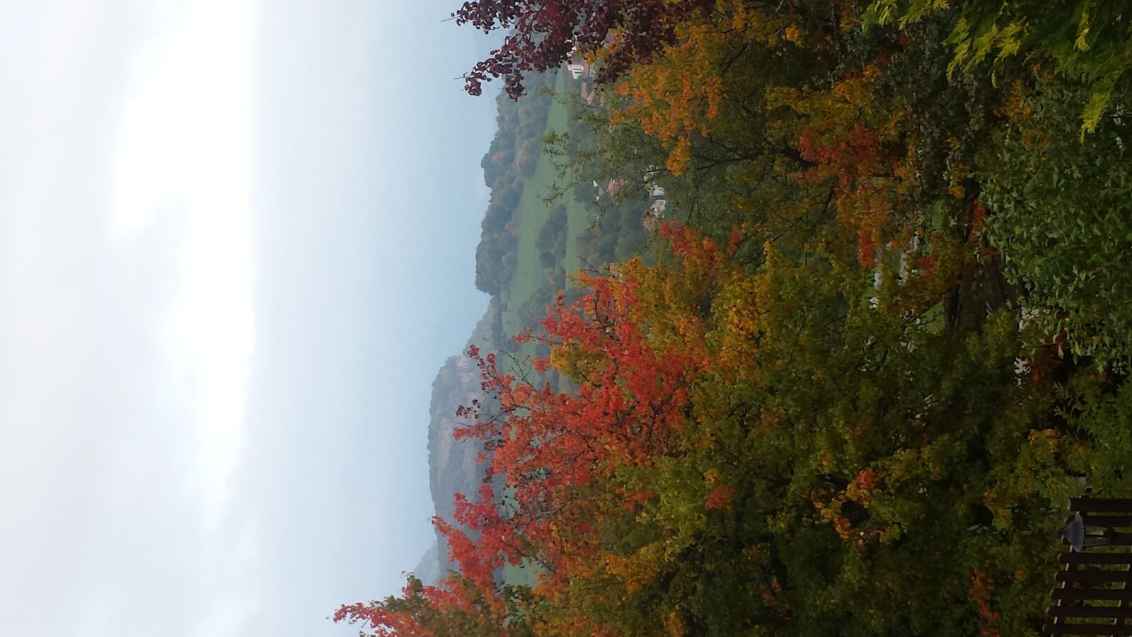 Samsung Galaxy S4 sample photo