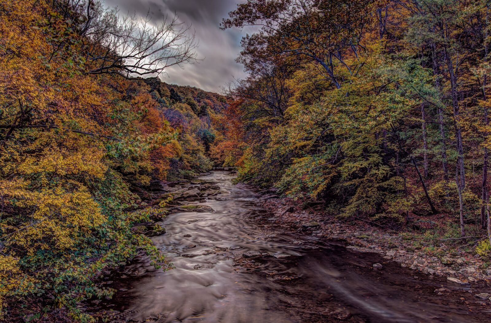 Nikon D810 sample photo. Fall, autumn, foliage photography